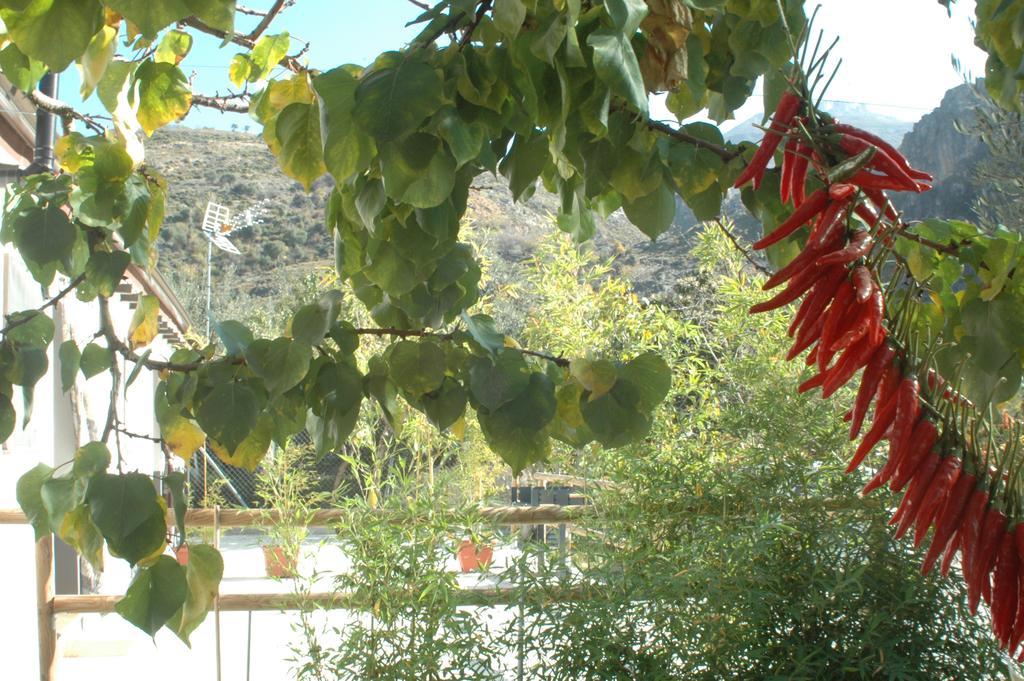 Cortijo Los Cahorros Sierra Nevada Monachil Exterior photo