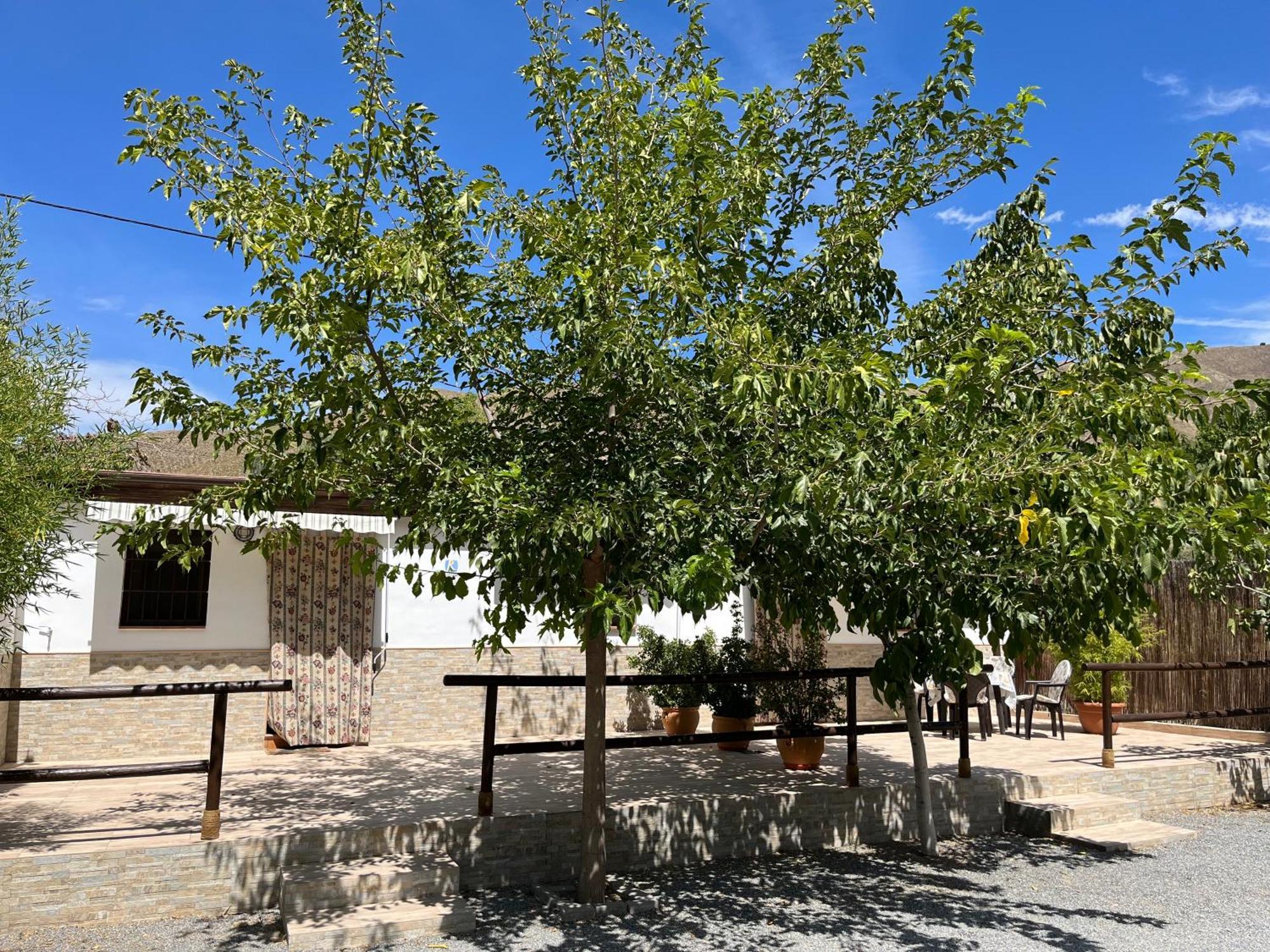 Cortijo Los Cahorros Sierra Nevada Monachil Exterior photo